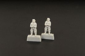 Japanese pilot WWII /(two pieces)