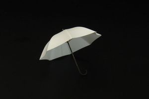Umbrella (2pcs)